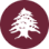 Ícone Vantagem